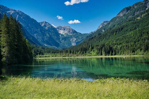 istock Beautiful summer landscape in Jagersee, Austria 1444377488
