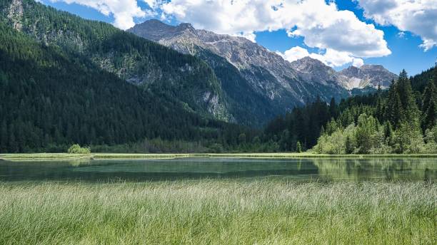 istock Beautiful summer landscape in Jagersee, Austria 1444377519