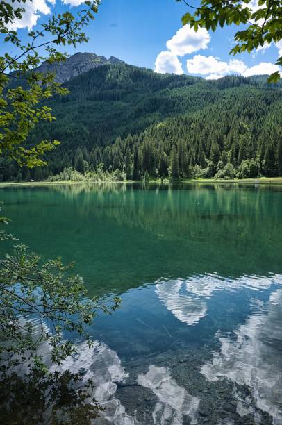 istock Beautiful summer landscape in Jagersee, Austria 1444377839