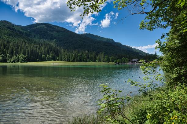 istock Beautiful summer landscape in Jagersee, Austria 1444377841