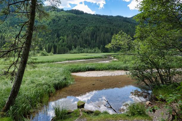 istock Beautiful summer landscape in Jagersee, Austria 1444377847
