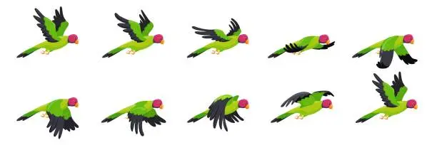 Vector illustration of Parrot animation. Animated parrots flight, flying bird loop sequence sprite list, nature fly movement wing motion flash cycle frames, cartoon birds 2d game neat vector illustration