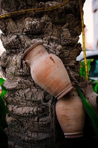 A vertical shot of terracotta pots on a palm tree trunk