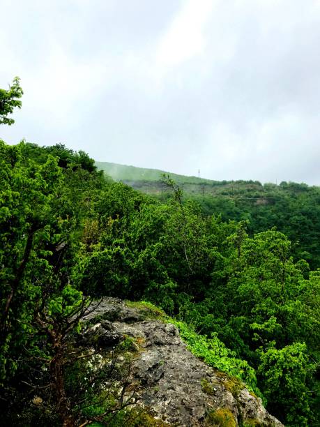 istock Vertical shot of a forested hill with a cloudy sky on the background 1444379266