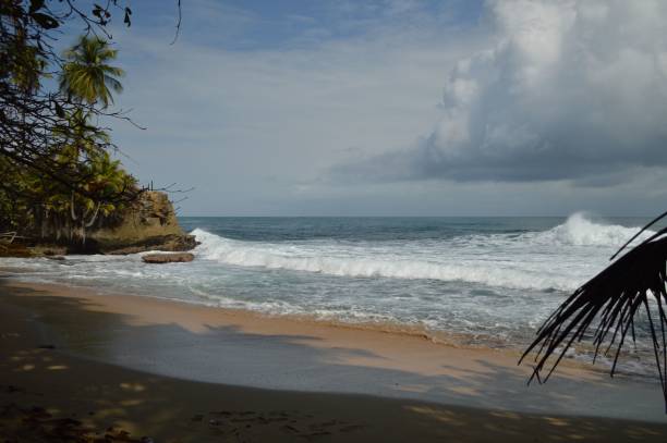 istock Beautiful landscape of a sandy beach on a cloudy day 1444379301