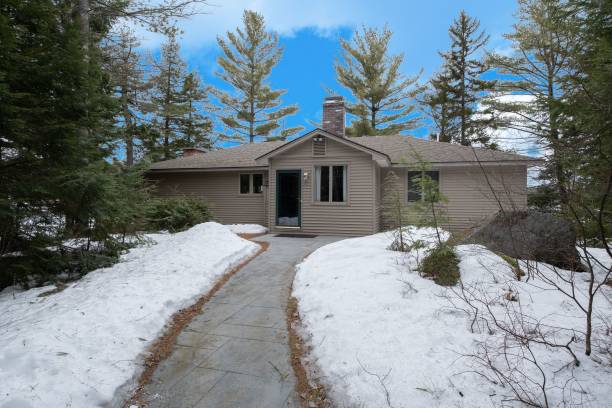Country house surrounded by tall pine trees during winter