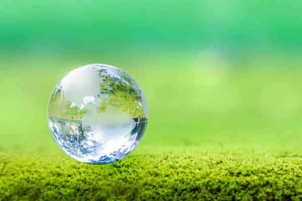 istock 3D illustration Renewable energy concept Earth Day or environmental protection Protect the forests that grow on the ground and help save the planet. 1444381347