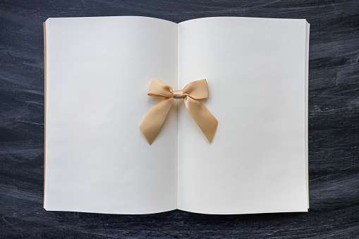 Gift ribbon bow on blank book.