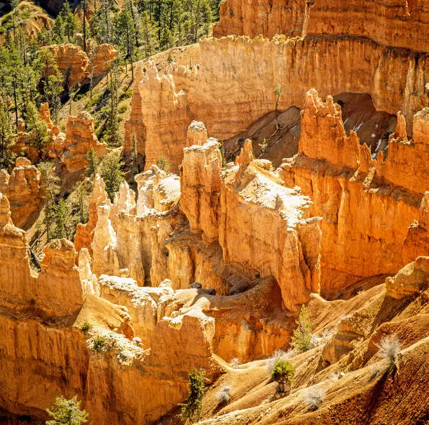 View of the Bryce Canyon in Utah
