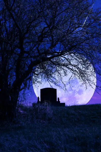Photo of Lonely grave with oak tree under starry and Moonlit night.