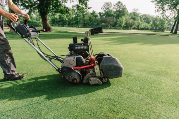 istock Golf Course Maintenance Equipment, Greens Mower 1444385963
