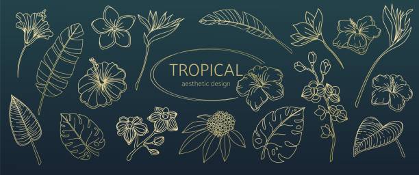Golden Leaves and Flowers From Tropics Line Icons Set Golden leaves and flowers from tropics line icons set vector illustration. Hand drawn outline gold aesthetic collection with tropical palm leaf with striped texture and luxury blossom of tropics frangipani stock illustrations