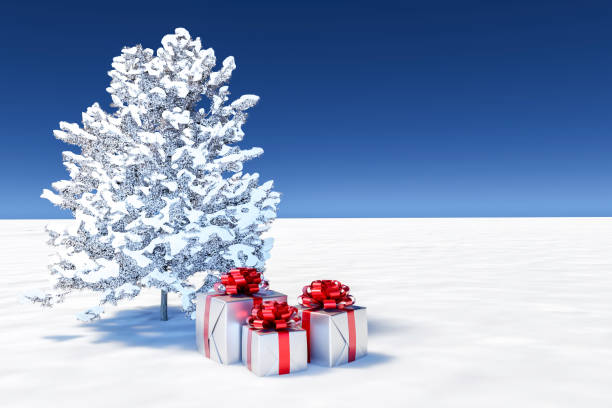 abstact 3d render christmas winter scene and natural podium background, gift box on snow field with sosna covered snow with gift for product display advertising or etc - christmas winter non urban scene pine tree zdjęcia i obrazy z banku zdjęć