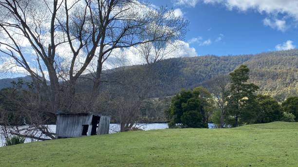 istock Abandoned Shed on fresh green grass 1444401224
