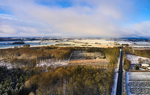 Landscape with new fallen snow. Road crossing through forest with production of Christmas trees