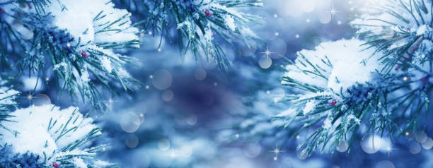 istock Christmas Tree. Cristmas New Year Winter blurred background. Magic winter snow landscape. Christmas greeting card. Christmas lights. Space for text. Banner. 1444402895