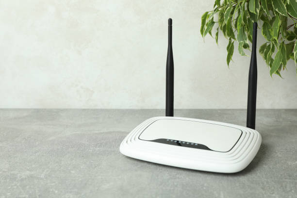 istock Wi-Fi router and plant on gray textured table 1444405834