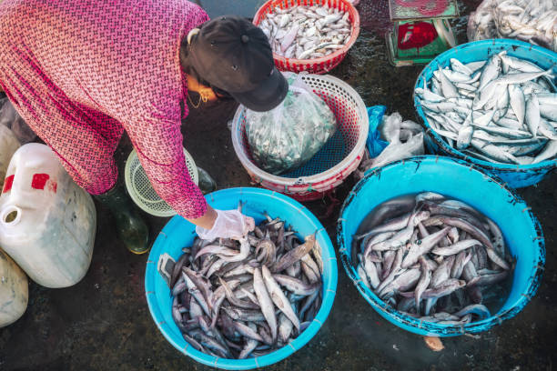 istock fishmarket in Hoi An Vietnam 1444406364