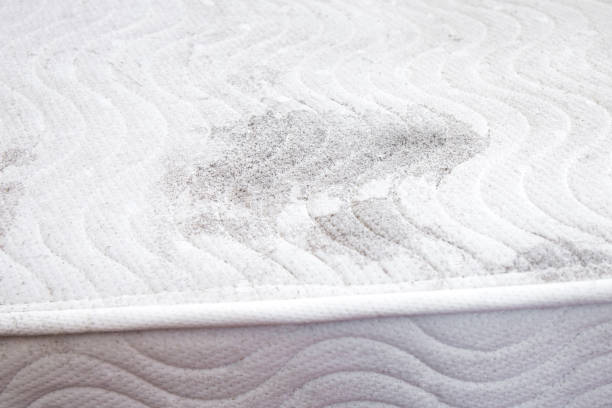 Close up view of molding mattress in home room indoors, health hazard concept. stock photo