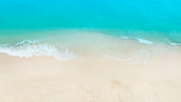 istock The ecology system with a wave water energy on the beach with a summer tropical background , Aerial view 1444407946