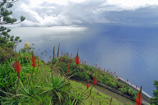 Landscape on Madeira island