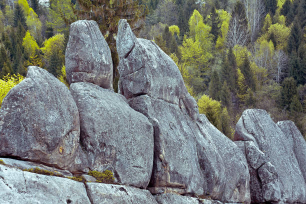 Huge ancient stones in forest landscape photo. Beautiful nature scenery photography with spruces on background. Idyllic scene. High quality picture for wallpaper, travel blog, magazine, article