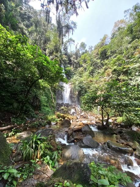 cascata di cikaracak - hawaii islands big island waterfall nobody foto e immagini stock