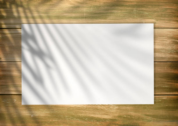 istock Empty white list on an old style wooden empty background with plam leaf shadow on it 1444414820