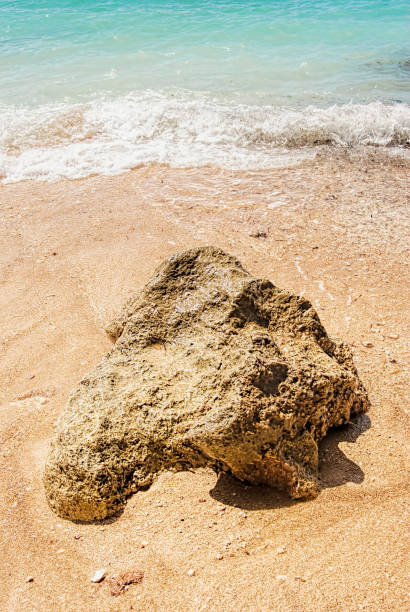 Tropical beach with panoramic views and waves, rocks and sand background
