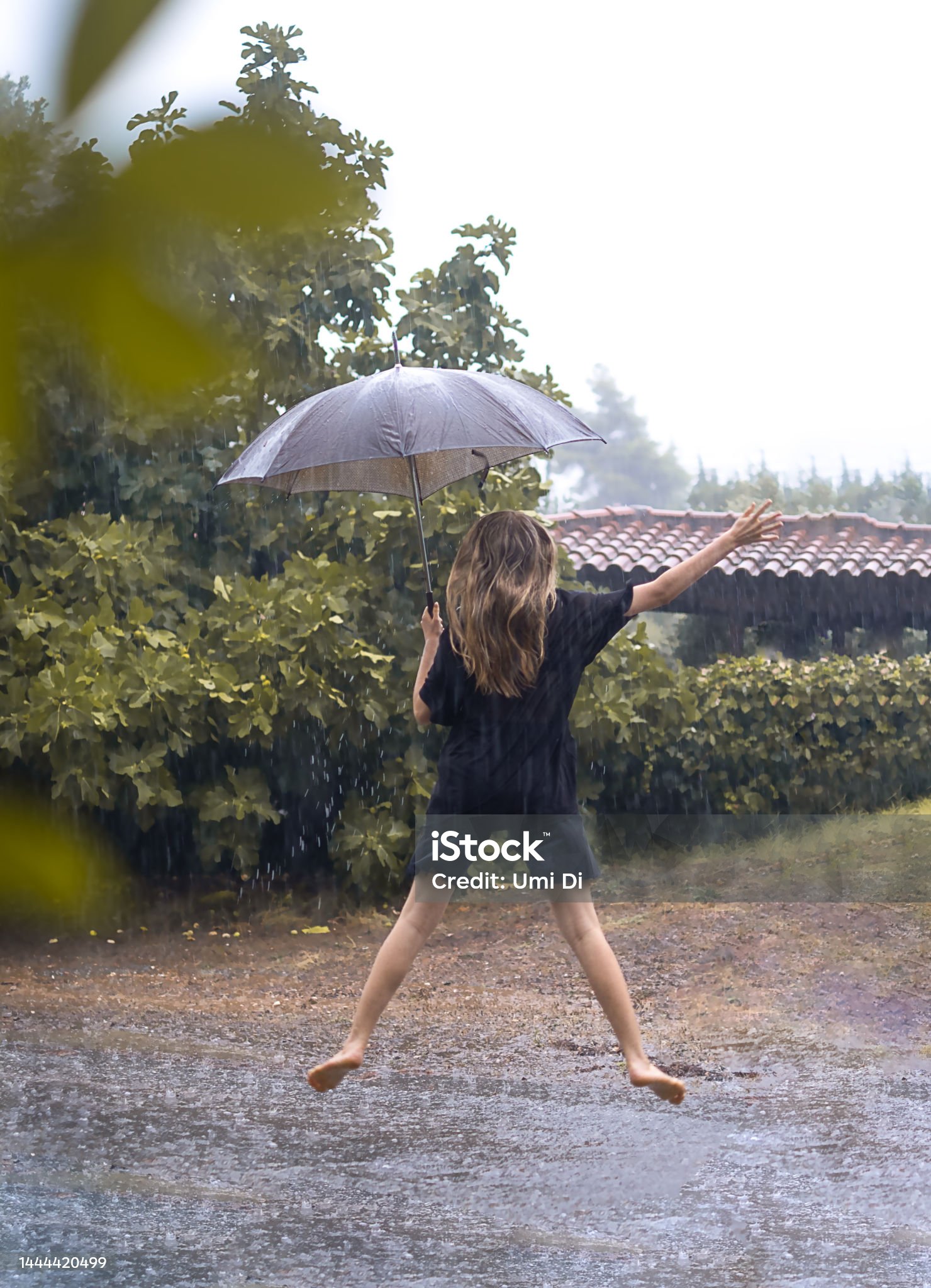 https://media.istockphoto.com/id/1444420499/tr/foto%C4%9Fraf/happy-and-barefoot-in-the-summer-rain.jpg?s=2048x2048&amp;w=is&amp;k=20&amp;c=755KL260agHB3gSYGXr1IiZaR1T2xVMiU-esaMMM9Zc=