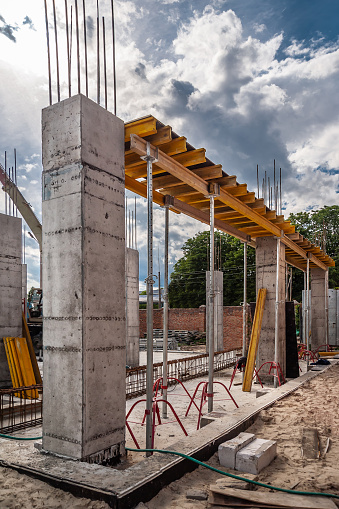 transexual dating profile