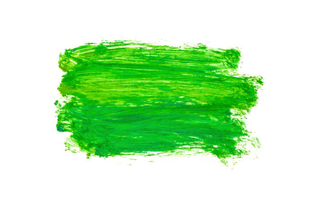 Abstract artistic acrylic green brush stroke. Isolated on white background.