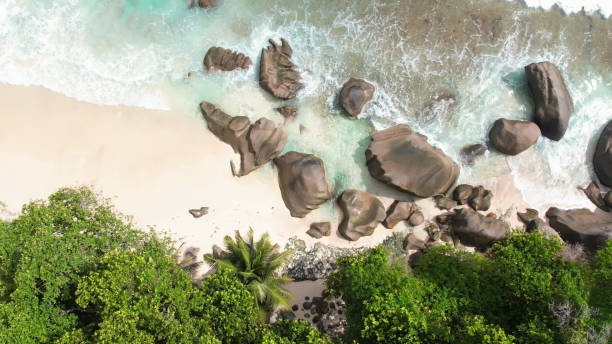 istock Bird eye view over rock boulders and ocean 1444430934