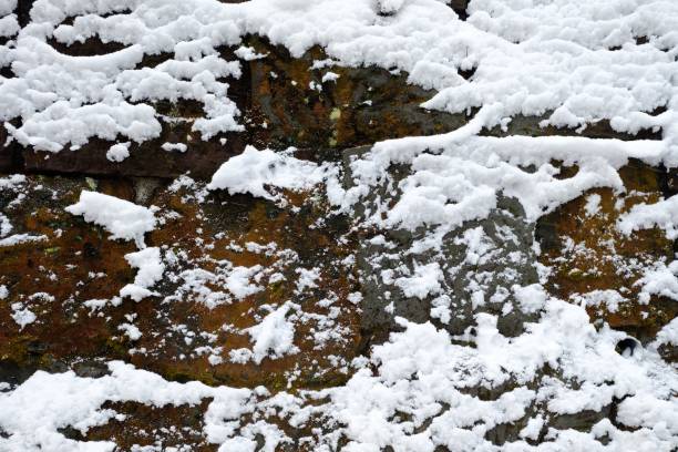 istock White Snow and Green Moss on the Rock Background. 1444431358