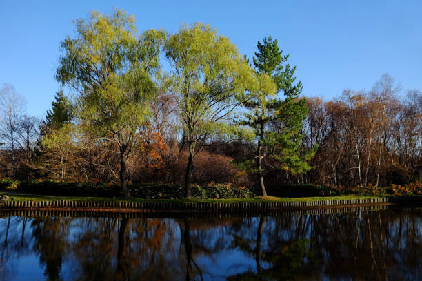 Scenery of Park in the Autumn.