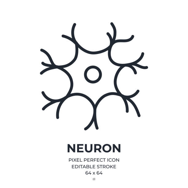 illustrations, cliparts, dessins animés et icônes de icône de contour modifiable de neurone cérébral isolée sur fond blanc illustration vectorielle plate. pixel parfait. 64 x 64. - nerve cell