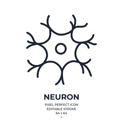 Brain neuron editable stroke outline icon isolated on white background flat vector illustration. Pixel perfect. 64 x 64.