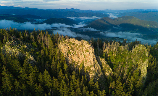 Rocky peak of mountain range covered with spruce forest in foggy evening valley of Rhodope mountains under sunset cloudy sky