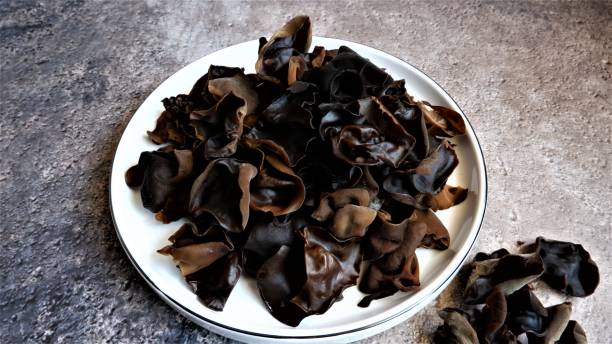 istock High Angle View of Muer Mushroom  on white ceramic plate with grey background. Auricularia Polytricha. Edible Mushroom. 1444436890