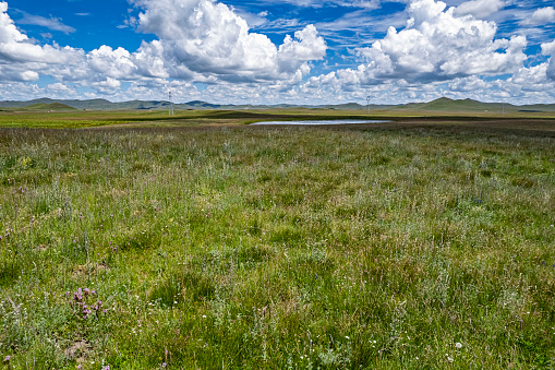 Landscape of the grasslands in Zoige (Ruoergai) county, Ngawa (Aba) Tibetan and Qiang Autonomous Prefecture in Sichuan, China