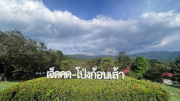 istock Jedkod-Pongkonsao campground with clear sky. 1444445606