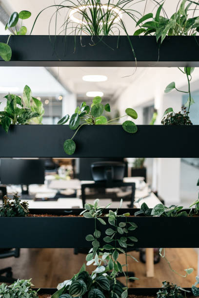 istock room divider with plants in a start up company 1444450588