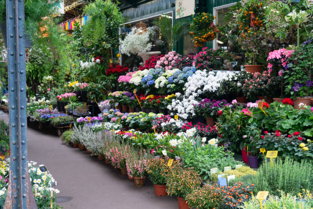 istock Paris flower market 1444462302
