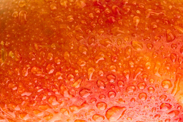istock Delicious ripe mango detail with green studio shot. 1444467299
