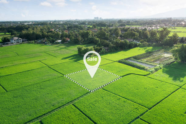 istock Land plot in aerial view with concept for sale. 1444467331