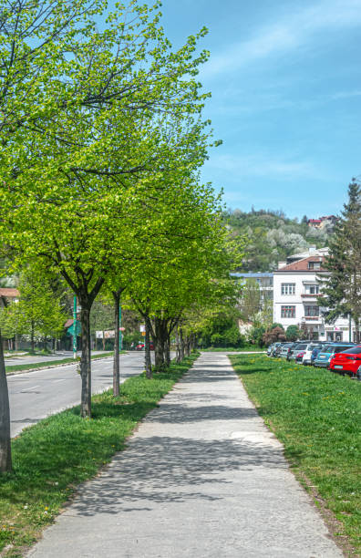 istock Empty streets of Sarajevo during Covid crisis 1444467896
