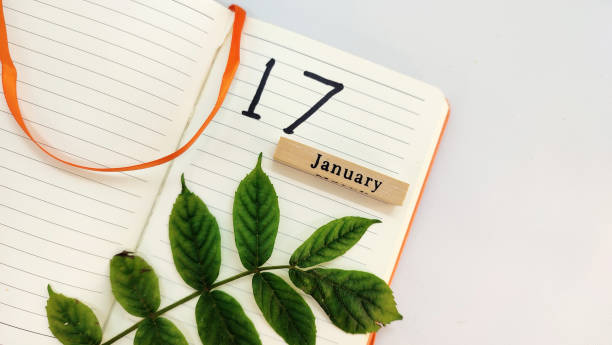 istock concept design with green leaves,notebook, and january 17 with white backgroud 1444469167