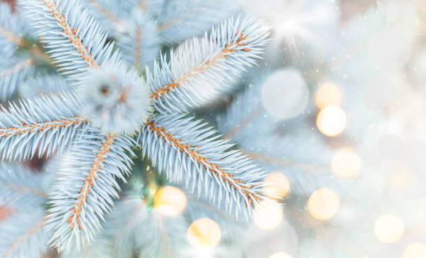 istock Closeup of Christmas tree background 1444469537