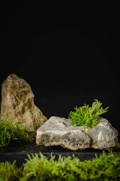 istock Abstract podium for cosmetic 1444470115
