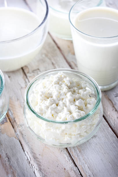 istock Dairy products - milk, cottage cheese and curd 1444473143